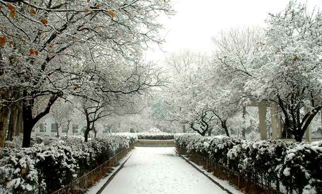 太原铁路机械学校白雪皑皑