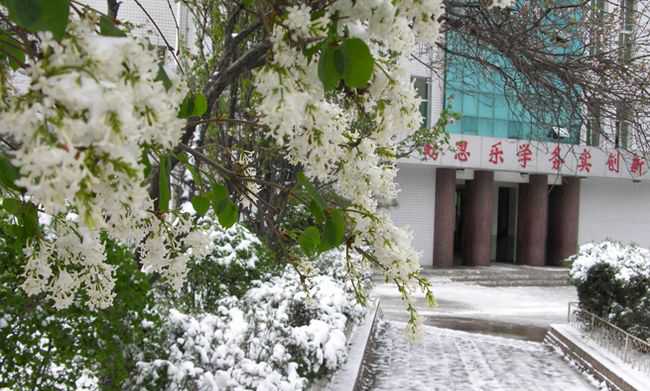 太原铁路机械学校白雪皑皑