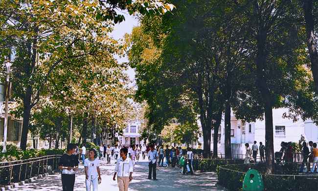 太原铁路机械学校白雪皑皑