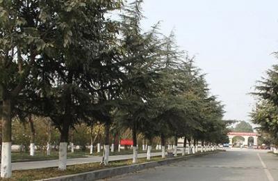四川大学附设华西卫生学校校园