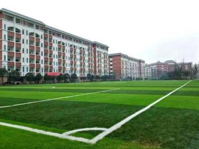 学校操场