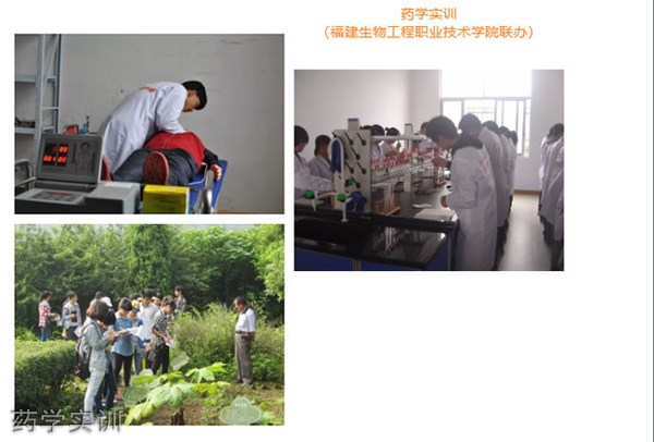 柘荣职业技术学校 柘荣职业技术学校