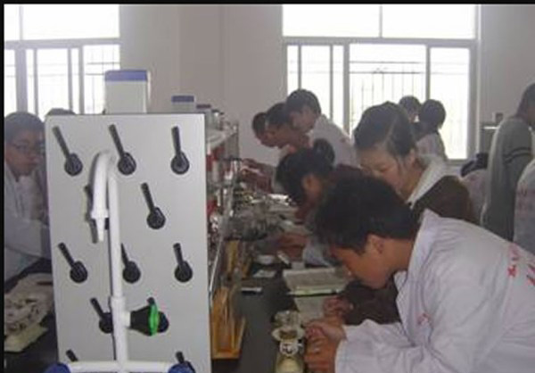 柘荣职业技术学校 柘荣职业技术学校