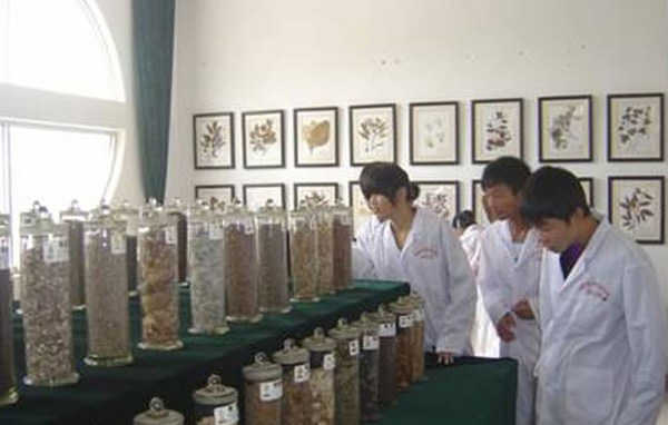 柘荣职业技术学校 柘荣职业技术学校