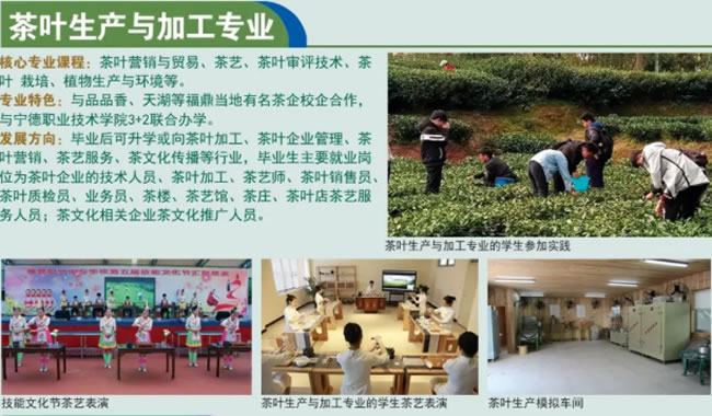 福鼎职业中专学校 福鼎职业中专学校