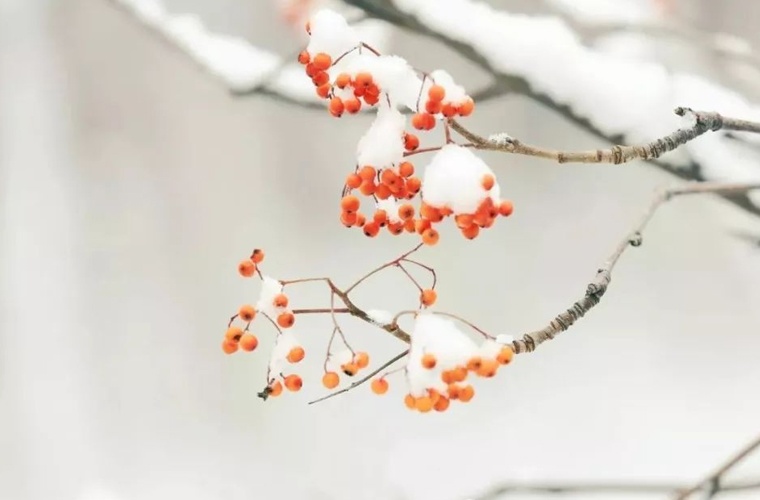 山西艺术设计学校 山西艺术设计学校