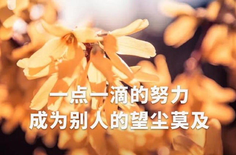 双鸭山旅游学校 双鸭山旅游学校