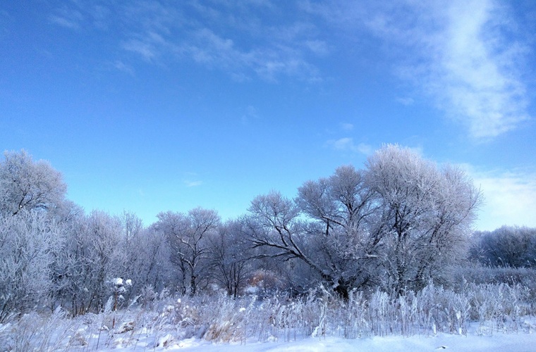 长春旅游学校 长春旅游学校