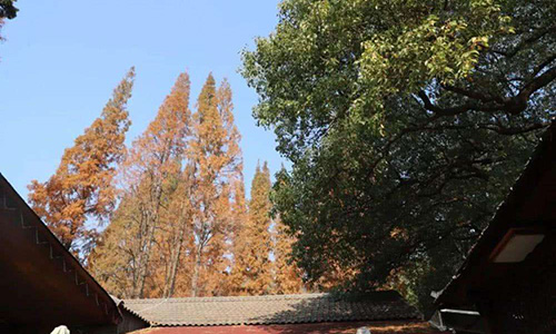 沈阳宝岩美容职业中专