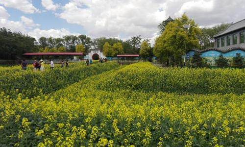 沈阳市新民技校