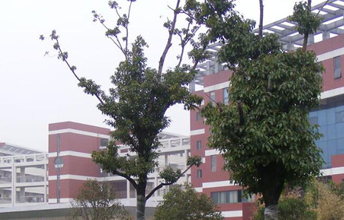 无锡卫校