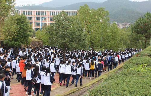 金桥职业学校