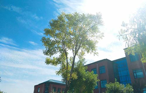 邹城市工业职工中等专业学校