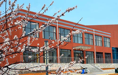 哈尔滨航空乘务学校