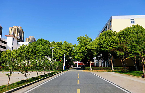 合肥飞跃学校