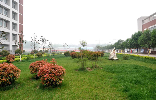 百色市民望职业技术学校