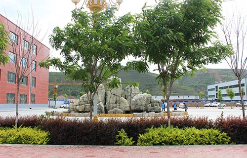 合肥五年制大专学校