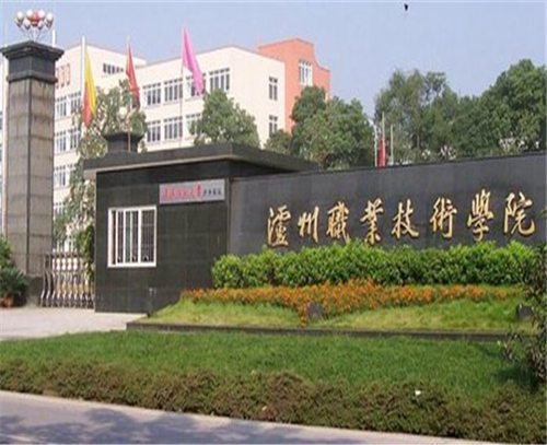 泸州职业技术学院是公办的吗?