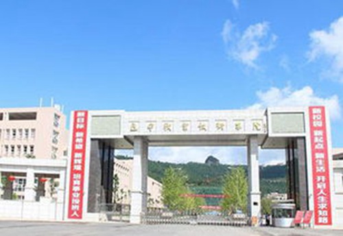 巴中职业技术学院有什么专业?
