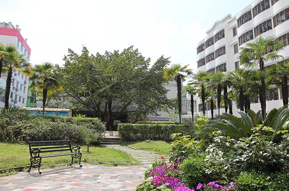 四川护理学院龙泉校区图片 四川护理学院龙泉校区图片