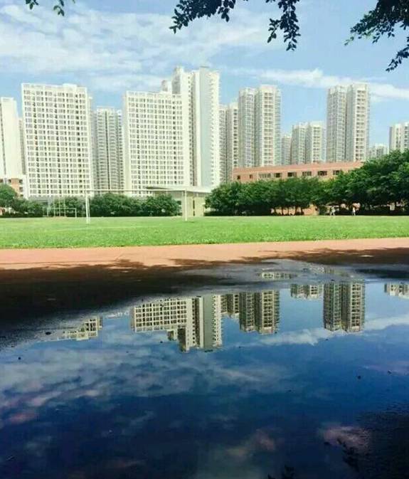 四川护理学院龙泉校区图片 四川护理学院龙泉校区图片