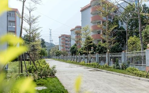 四川省内职中学校有哪些 四川省内职中学校有哪些
