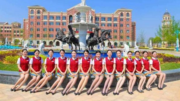 成都天府新区航空职业学院学费 成都天府新区航空职业学院学费
