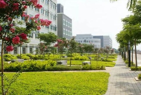 成都3加2学校有哪些 成都3加2学校有哪些