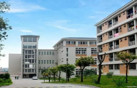 初中毕业学什么专业好