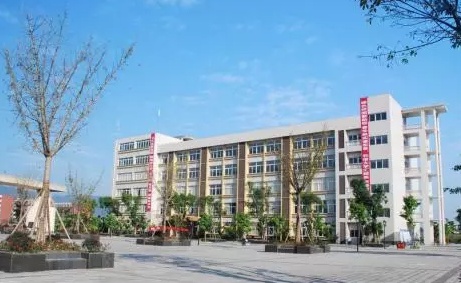 初中毕业学什么专业好