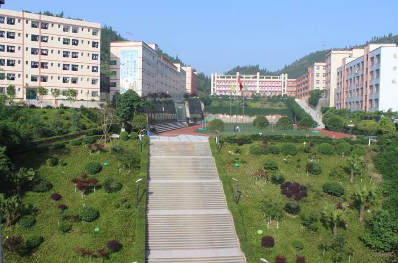 成都有几所技术学校