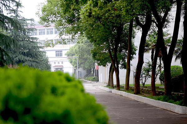 学院排名 学院排名