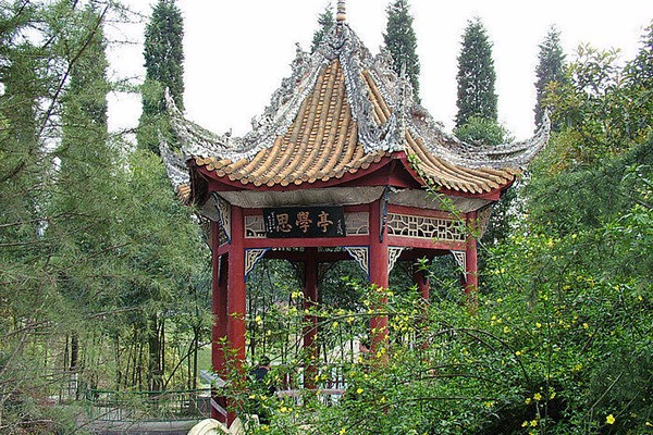 职业高中 职业高中