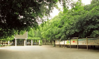 四川交通运输职业学校(四川交通技师学院)