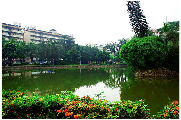 攀枝花职业学校排名 攀枝花职业学校排名