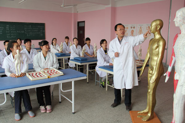 学生们正在进行学习 学生们正在进行学习
