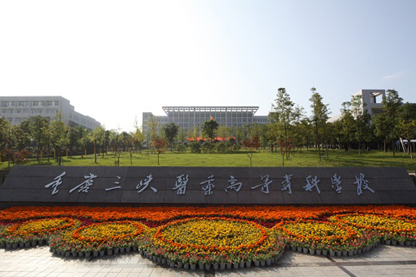 重庆职业学校怎么样 重庆职业学校怎么样