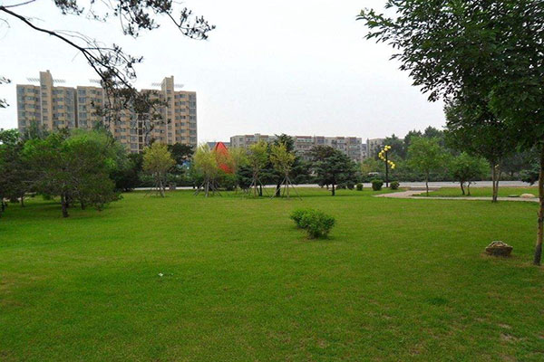 学院排名 学院排名
