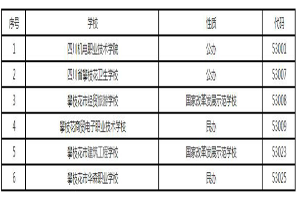 攀枝花职高学院招生 攀枝花职高学院招生