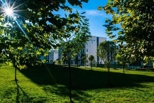 职业学院 职业学院