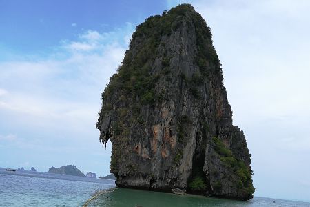园林绿化专业详解及就业方向