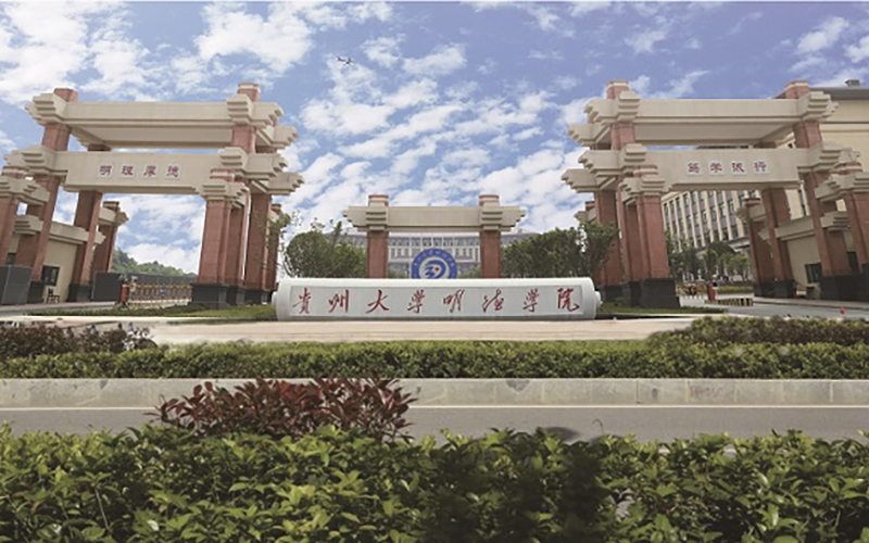 2024年云南三鑫职业技术学院有哪些专业