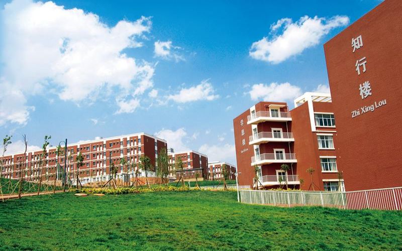 2024年云南医药健康职业学院有哪些专业