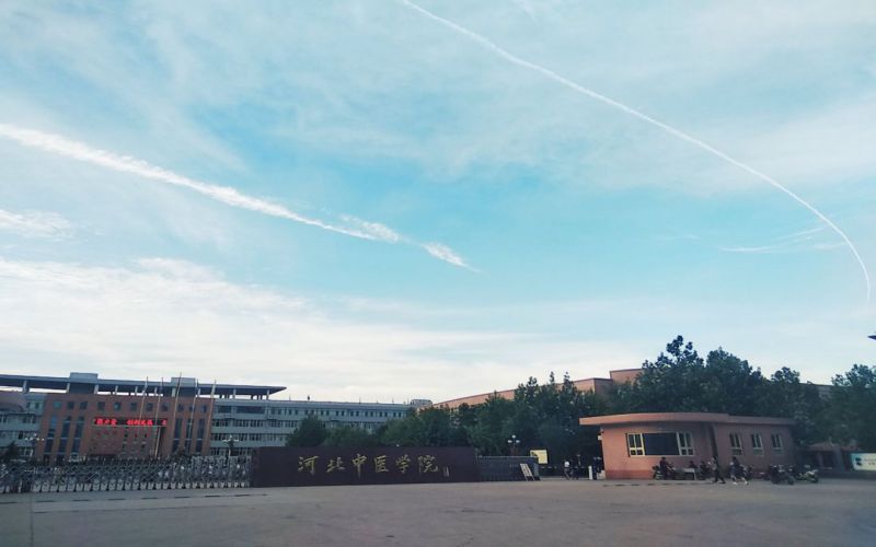 2024年重庆科技职业学院有哪些专业