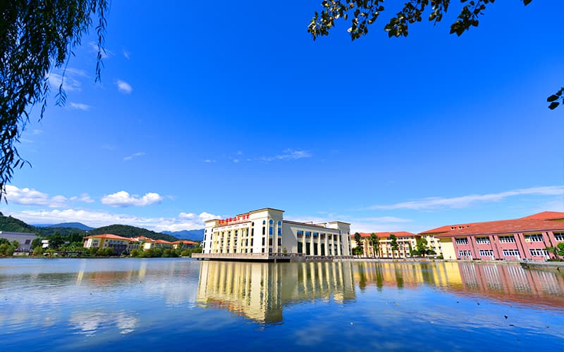 2024年山东凯文科技职业学院有哪些专业
