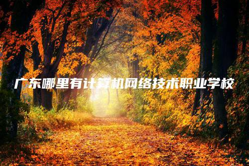 广东哪里有计算机网络技术职业学校