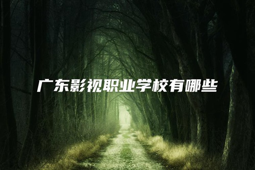 广东影视职业学校有哪些 广东影视职业学校有哪些