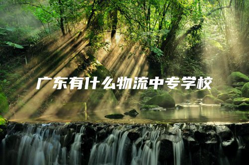 广东有什么物流中专学校 广东有什么物流中专学校