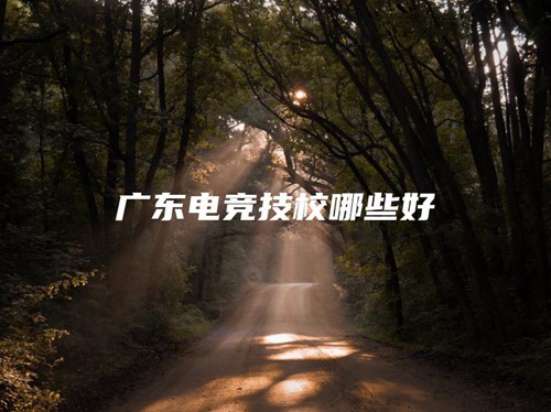 广东电竞技校哪些好 广东电竞技校哪些好