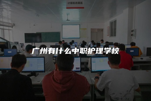 广州有什么中职护理学校 广州有什么中职护理学校